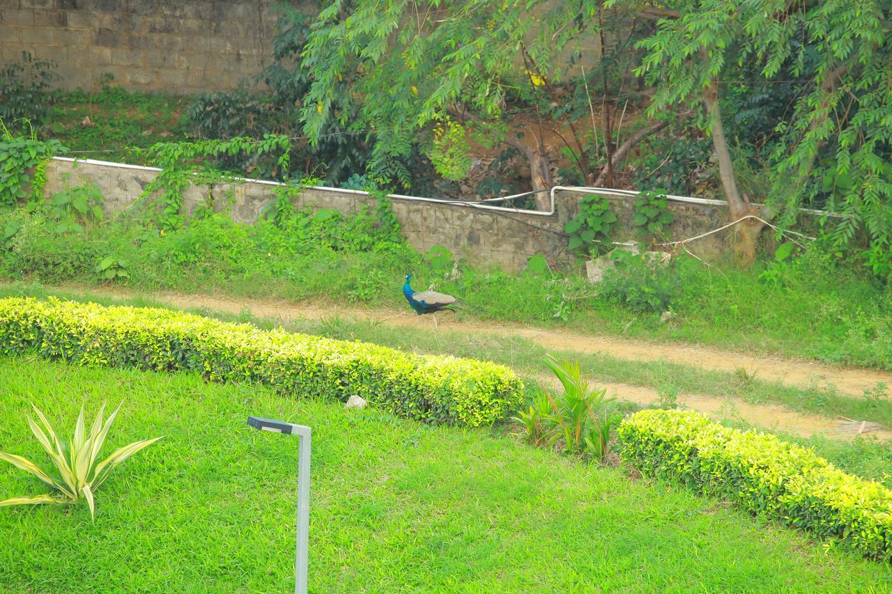 Five Falls Resort Kuttālam Exterior foto